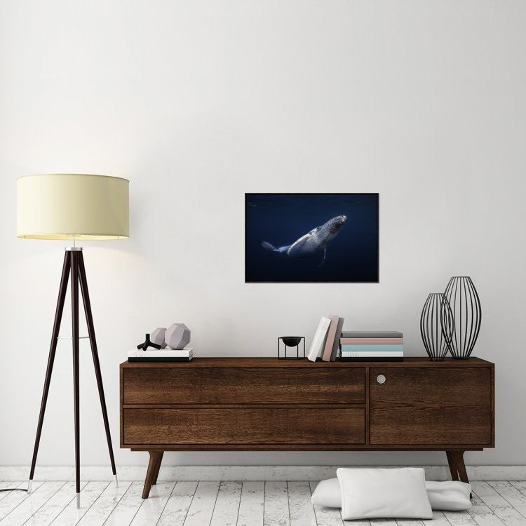 "Humpback Whale" Framed Canvas Giclee by Barathieu Gabriel, 31x21"