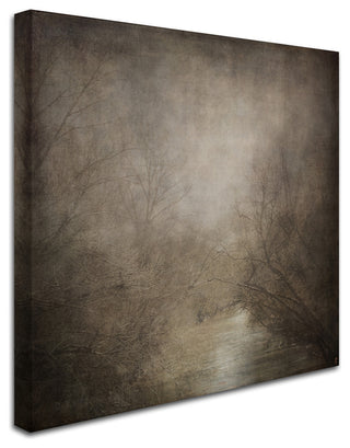 Jai Johnson 'Hidden Waters' Canvas Art, 18 x 18