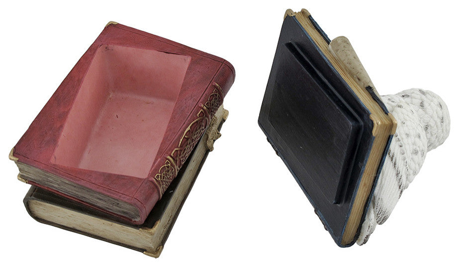 Wise Snow Owl Resting on Scholar`s Books Trinket Box