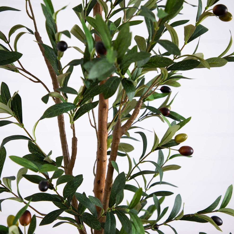 Close-up of olive leaves and olives on white background; cropped view of a feature/section.