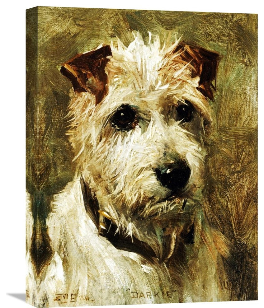 "Portrait of a Terrier: Darkie" Stretched Canvas Giclee by John Emms, 17"x22"