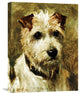 "Portrait of a Terrier: Darkie" Stretched Canvas Giclee by John Emms, 17"x22"