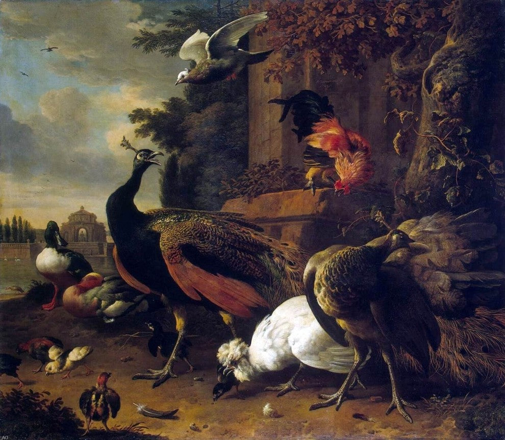 Melchior D'Hondecoeter Birds in a Park, 20"x25" Wall Decal