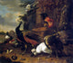 Melchior D'Hondecoeter Birds in a Park, 20"x25" Wall Decal