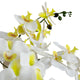 23in. Artificial Phalaenopsis Orchid Arrangement, White Planter, Real Touch