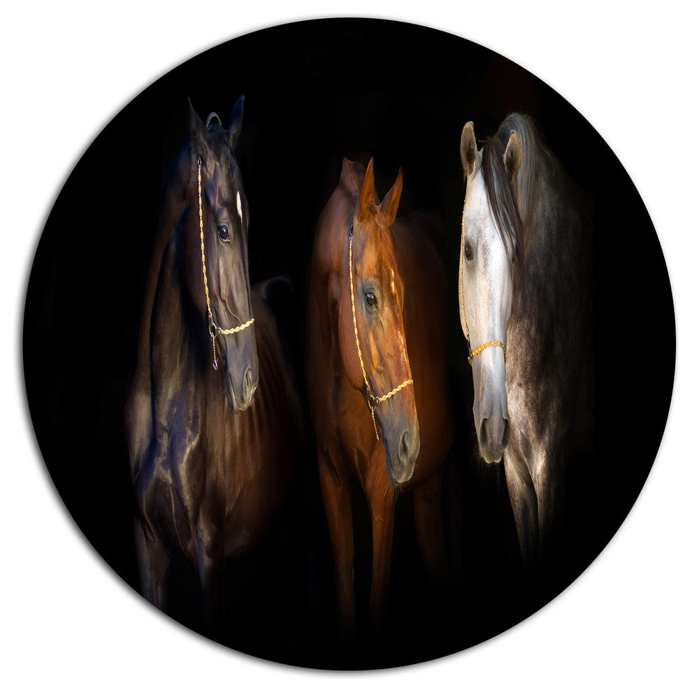 Three Horses With Golden Bridle, Animal Disc Metal Wall Art, 23"