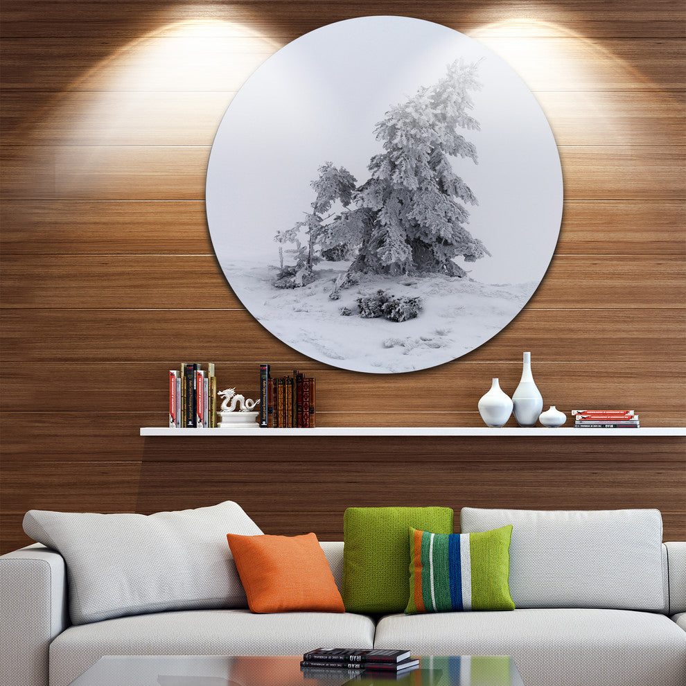 Grayscale Valley In Frost, Landscape Photo Disc Metal Wall Art, 23"