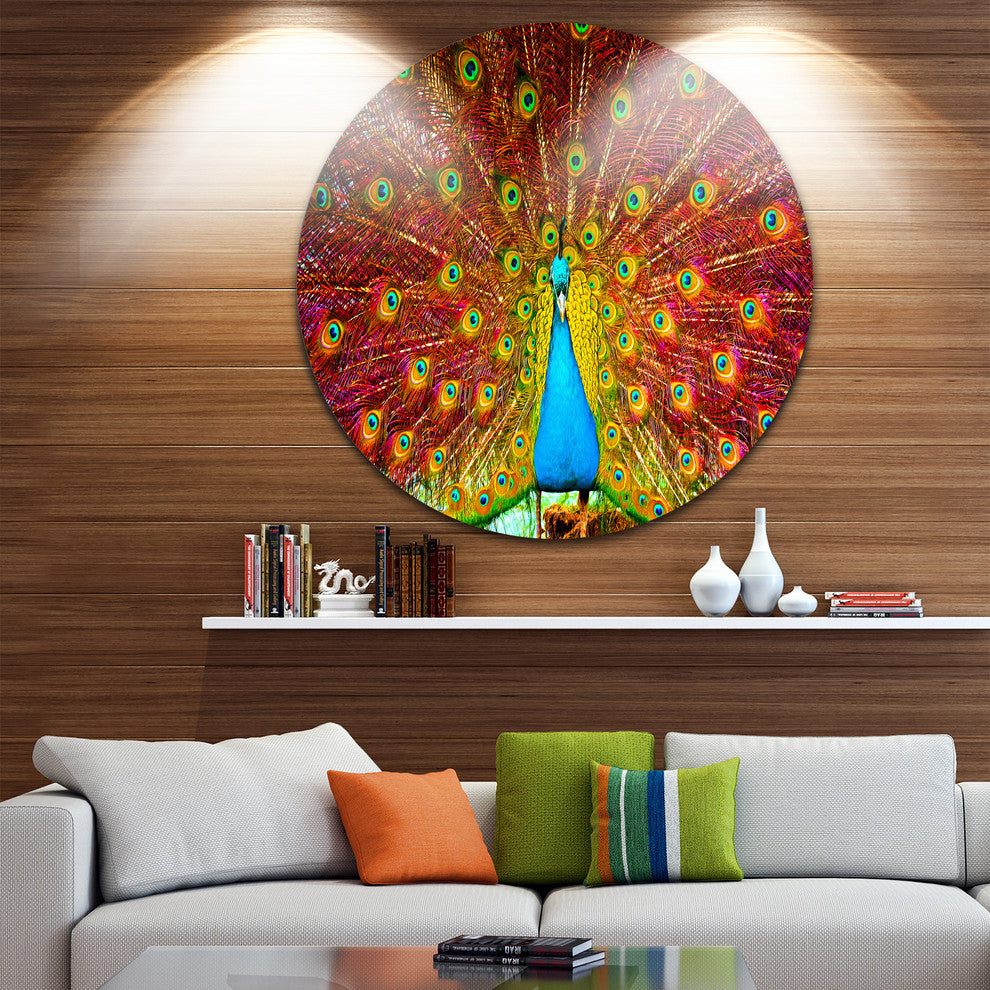 Peacock Dancing, Animal Photography Round Wall Art, 11"