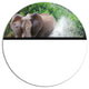 Elephant Spraying Water, African Large Disc Metal Wall Art, 23"
