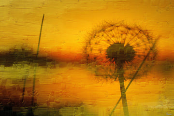 "Day End" Fine Art Canvas Print, 45"x30"