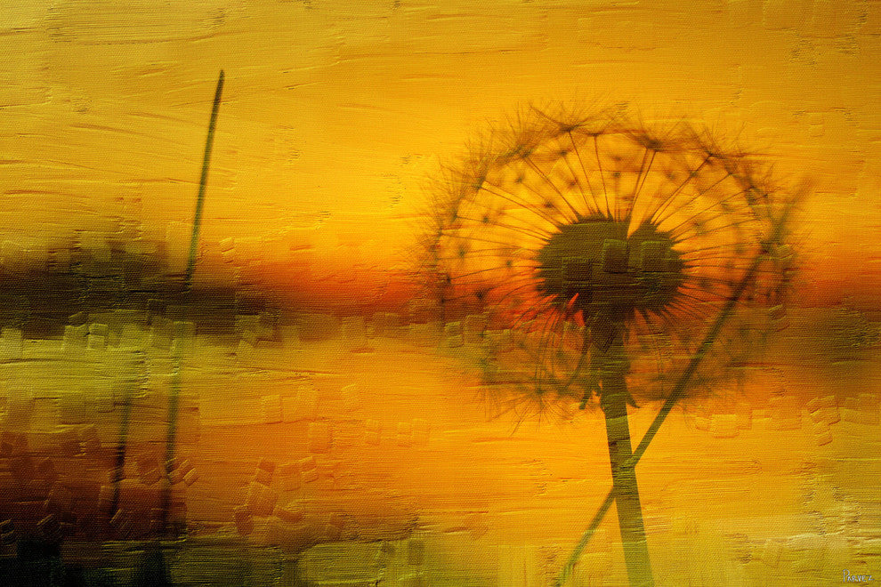 "Day End" Fine Art Canvas Print, 45"x30"