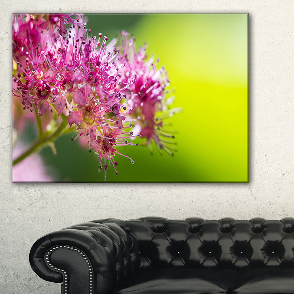 "Pink Little Flowers in Green" Canvas Print, 1 Panel, 60"x28"