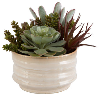 Full product on white background; front-facing view; entire pot visible.