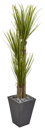 5.5' Triple Stalk Yucca Artificial Plant, Slate Planter