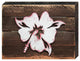 Hibiscus Flower Block