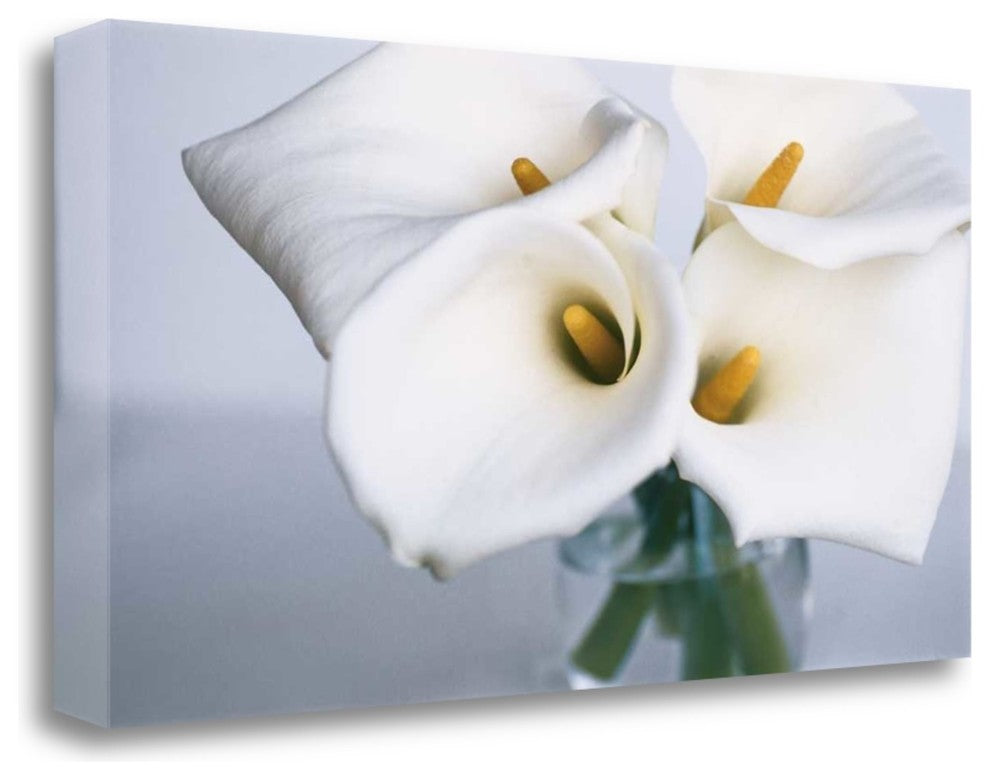 "Springplicity II" By Cinzia Ryan, Giclee Print on Gallery Wrap Canvas