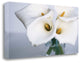 "Springplicity II" By Cinzia Ryan, Giclee Print on Gallery Wrap Canvas