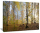 "Green Autumn Forest in Morning" Landscape Canvas Photo Print, 40"x30"