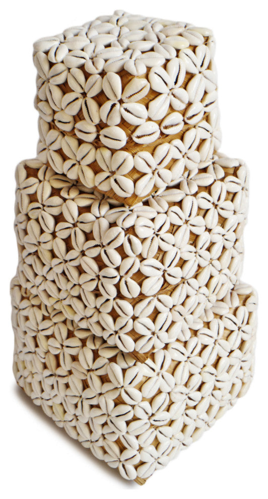 Cowry Shell Box Small