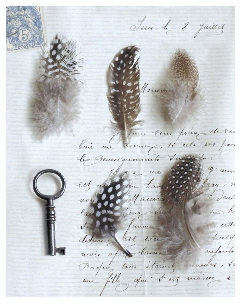 "Plume Letters V" Digital Paper Print by Sue Schlabach, 18"x22"