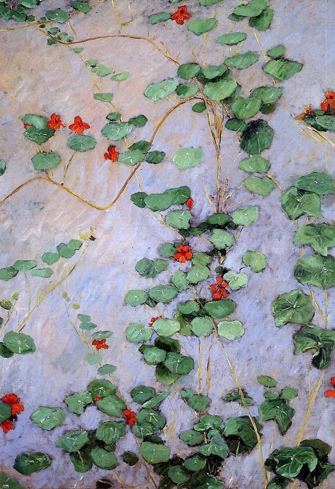 Gustave Caillebotte Nasturtiums, 18"x27" Wall Decal Print