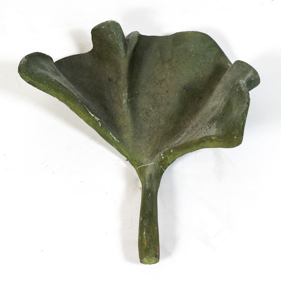 Ginko Leaf