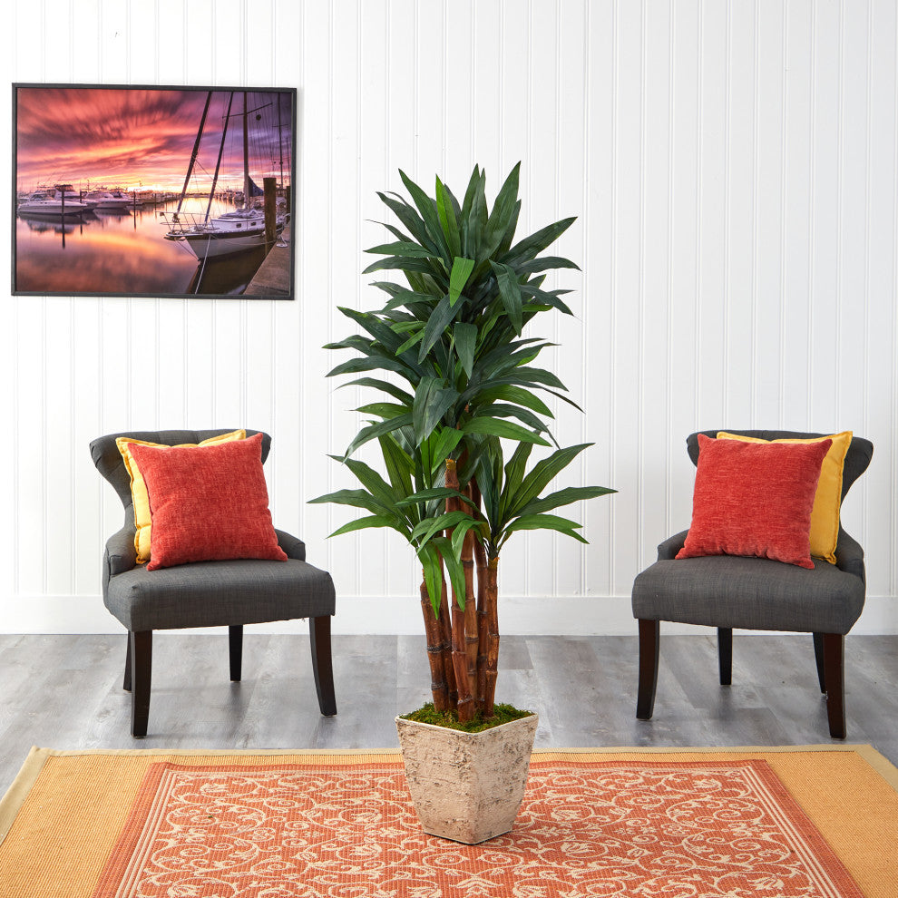 5' Dracaena Artificial Tree, Country White Planter