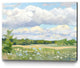 "Blue Chickory Fields" Museum Mounted Canvas Print, 14"x11"