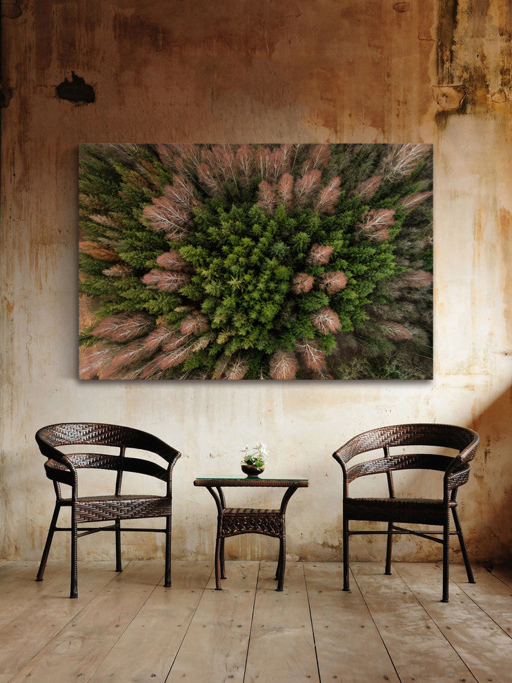 "Feather Trees" Print on Canvas by Karolis Janulis