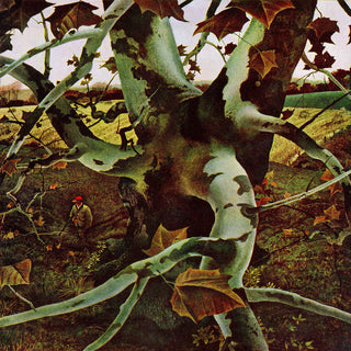 "Sycamore Tree" Painting Print on Wrapped Canvas