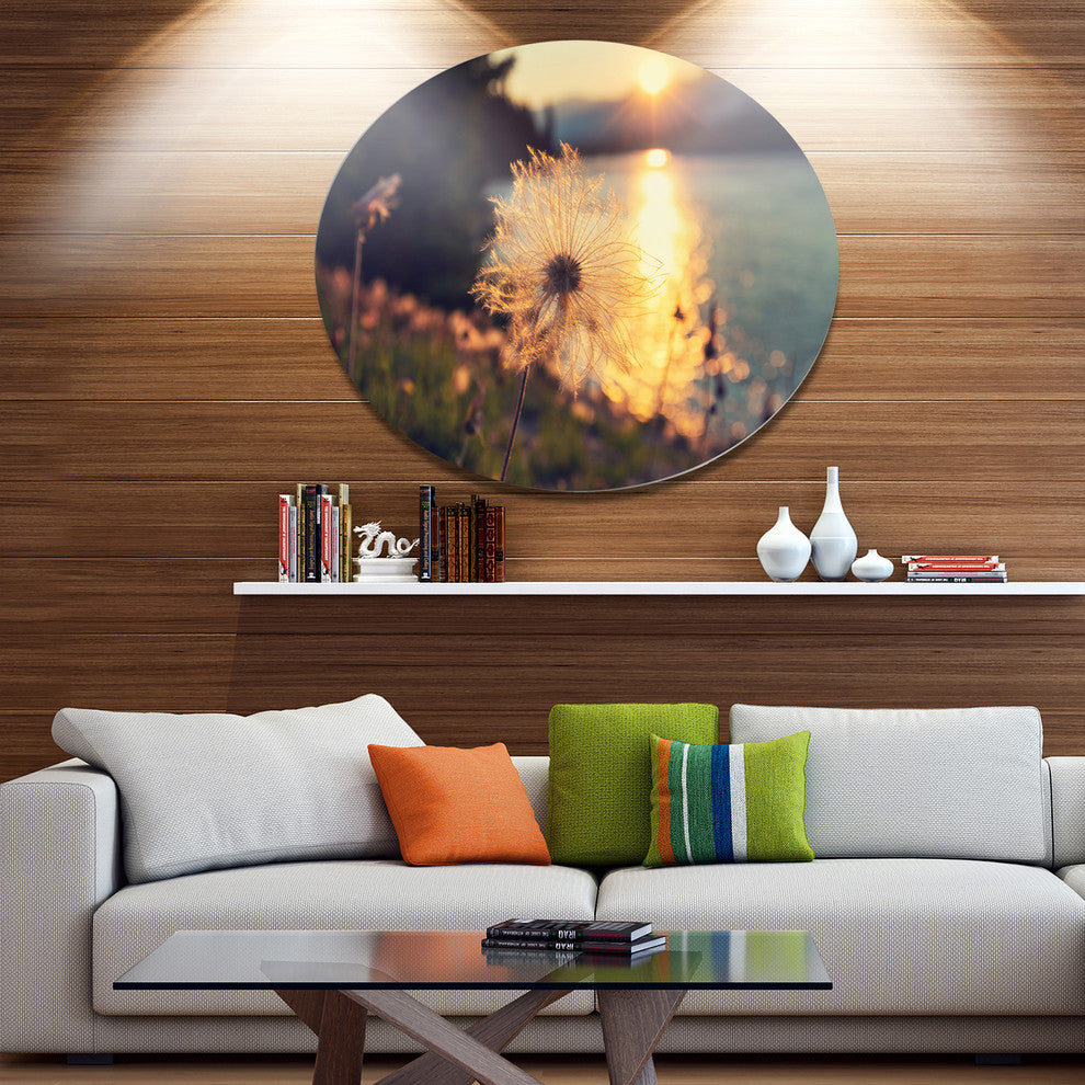 Arctic Cotton Flowers At Sunset, Floral Disc Metal Wall Art, 11"