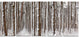 Dense Pine Forest in Winter, Landscape Canvas Art Print, 60"x28", 5 Panels