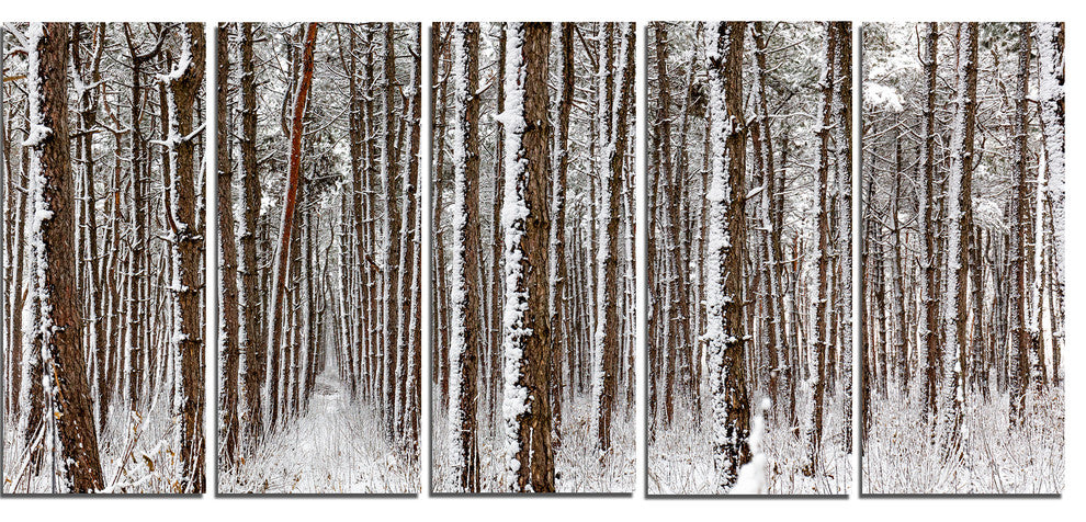 Dense Pine Forest in Winter, Landscape Canvas Art Print, 60"x28", 5 Panels