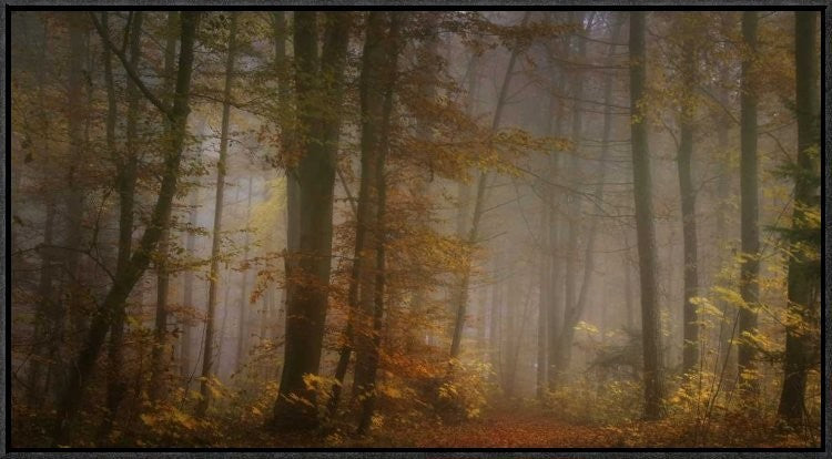 "My November" Framed Canvas Giclee by Norbert Maier, 31x17"