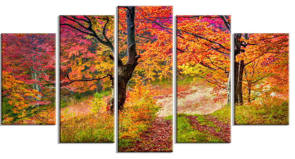 Bright Colorful Fall Trees in Forest, Landscape Canvas Print, 60"x32", 5 Panels