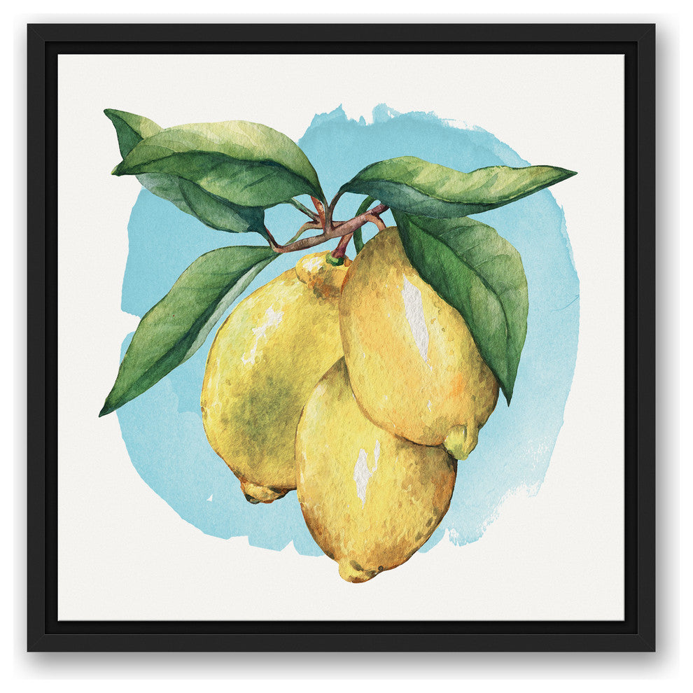 Lemons on the Vine with Blue Background 16x16 Black Floating Framed Canvas