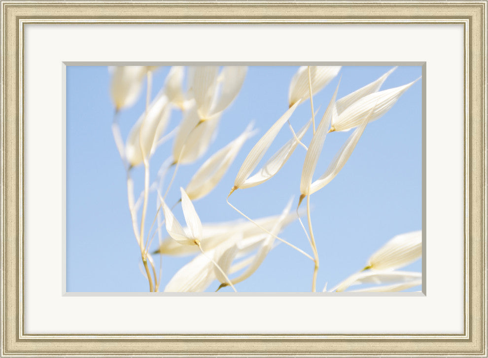 Whispering Pod, Giclee Reproduction Artwork