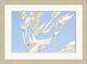 Whispering Pod, Giclee Reproduction Artwork