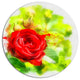 Bright Red Rose On Light Green, Modern Floral Disc Metal Artwork, 23"
