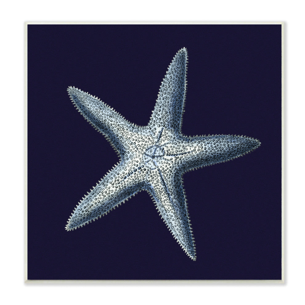 Stupell Industries Distressed Navy and White Starfish, 12"x12", Wood Wall Art