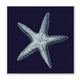 Stupell Industries Distressed Navy and White Starfish, 12"x12", Wood Wall Art
