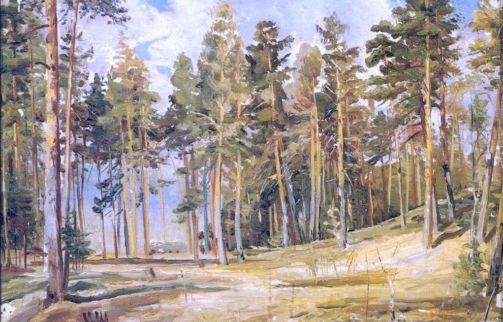 Ivan Ivanovich Shishkin Pines Sunny day Wall Decal