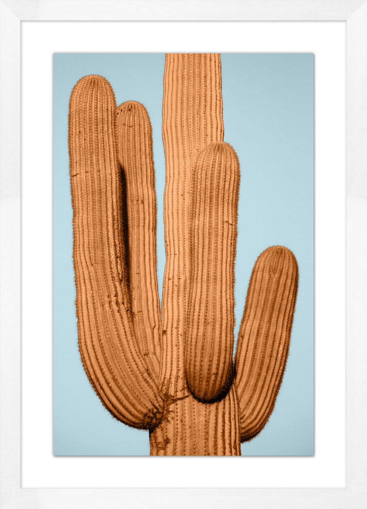 Desert Cactus 1, Giclee Reproduction Artwork