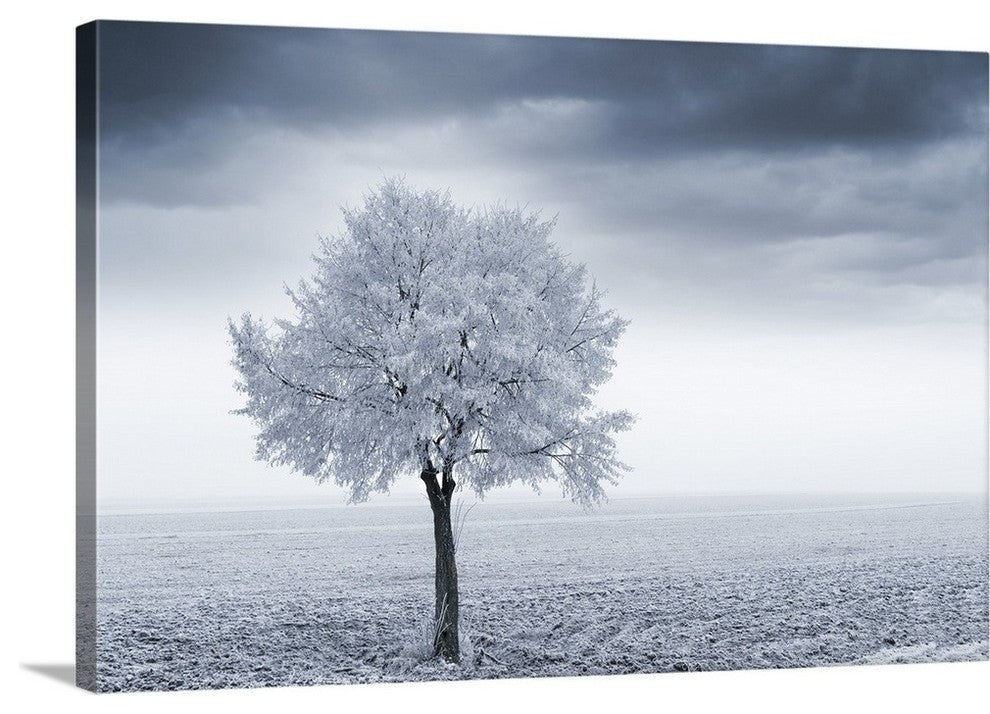 "Plus One" Wrapped Canvas Art Print, 36"x24"x1.5"