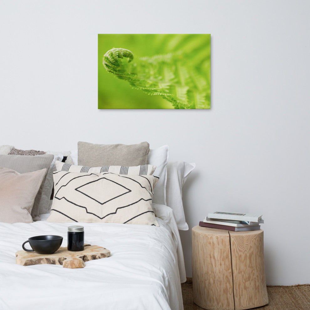 Fern Curl Botanical, Nature Photography Canvas Wall Art Print, 24" X 36"