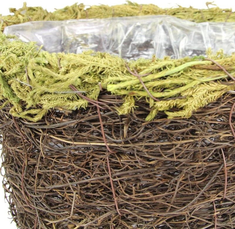 Natural Grapevine Moss Rim 6" Pot W/ Soft Liner