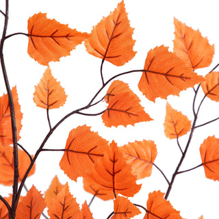 White background, close-up of orange leaves on branches.