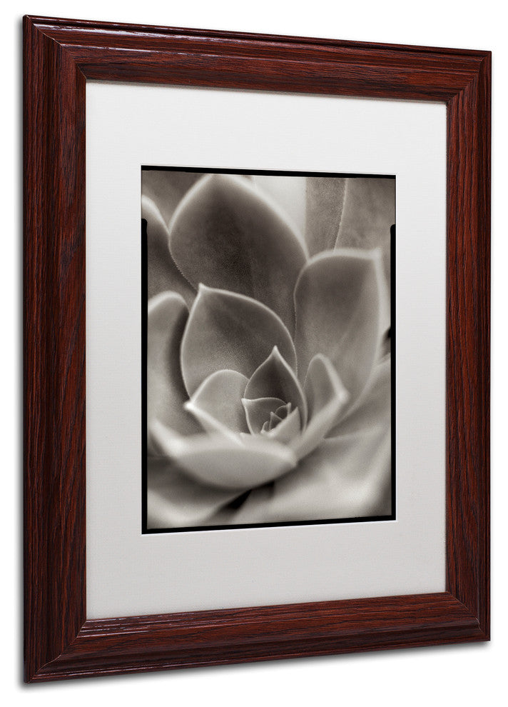 Alan Blaustein ''Florison 25'' Art, Wood Frame, White Mat, 11x14