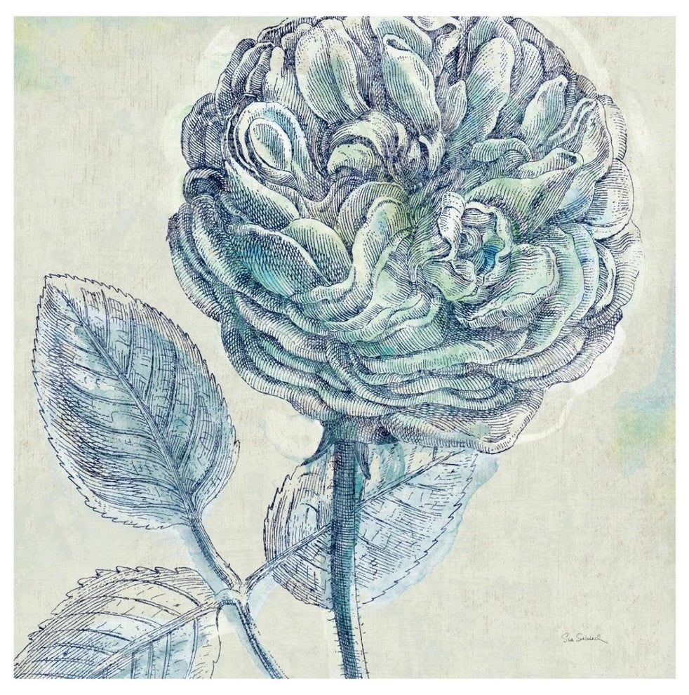 "Belle Fleur III" Digital Paper Print by Sue Schlabach, 32"x32"