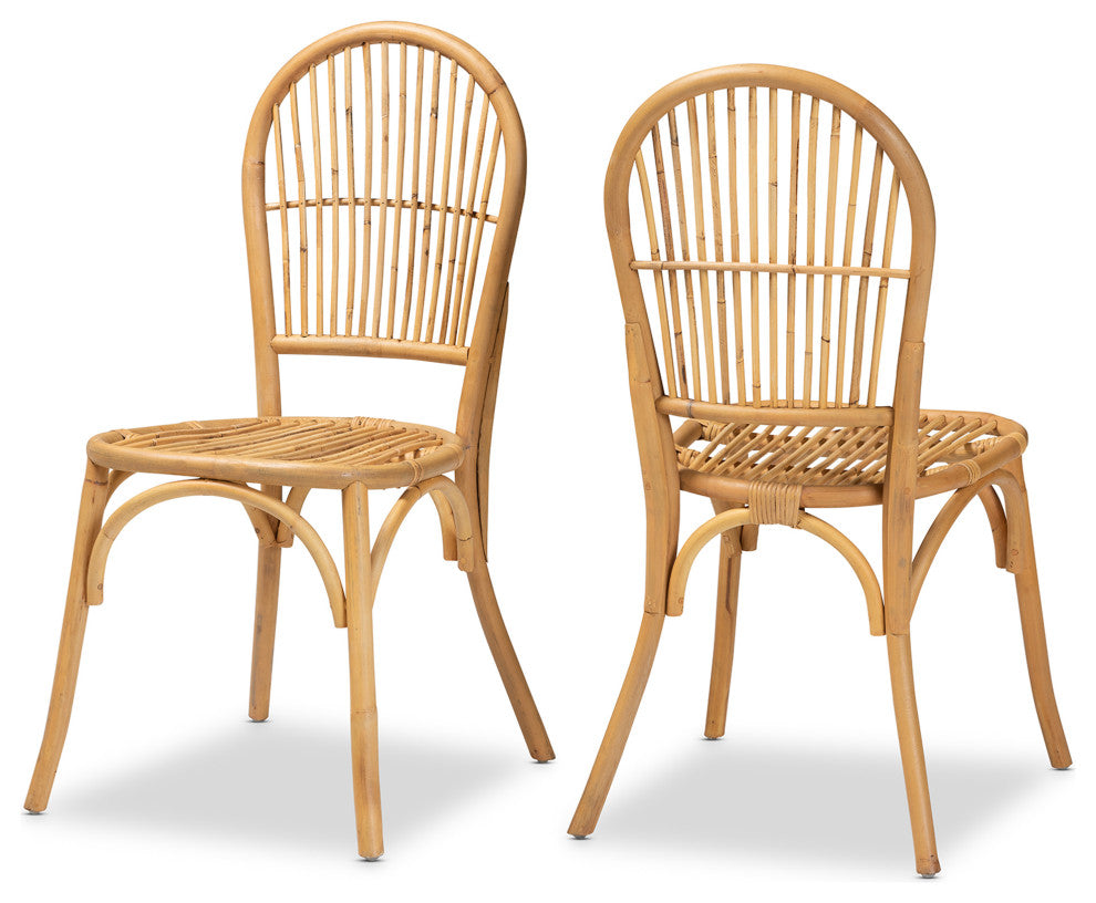 Wina Modern Bohemian Natural Brown Rattan 2-Piece Dining Chair Set